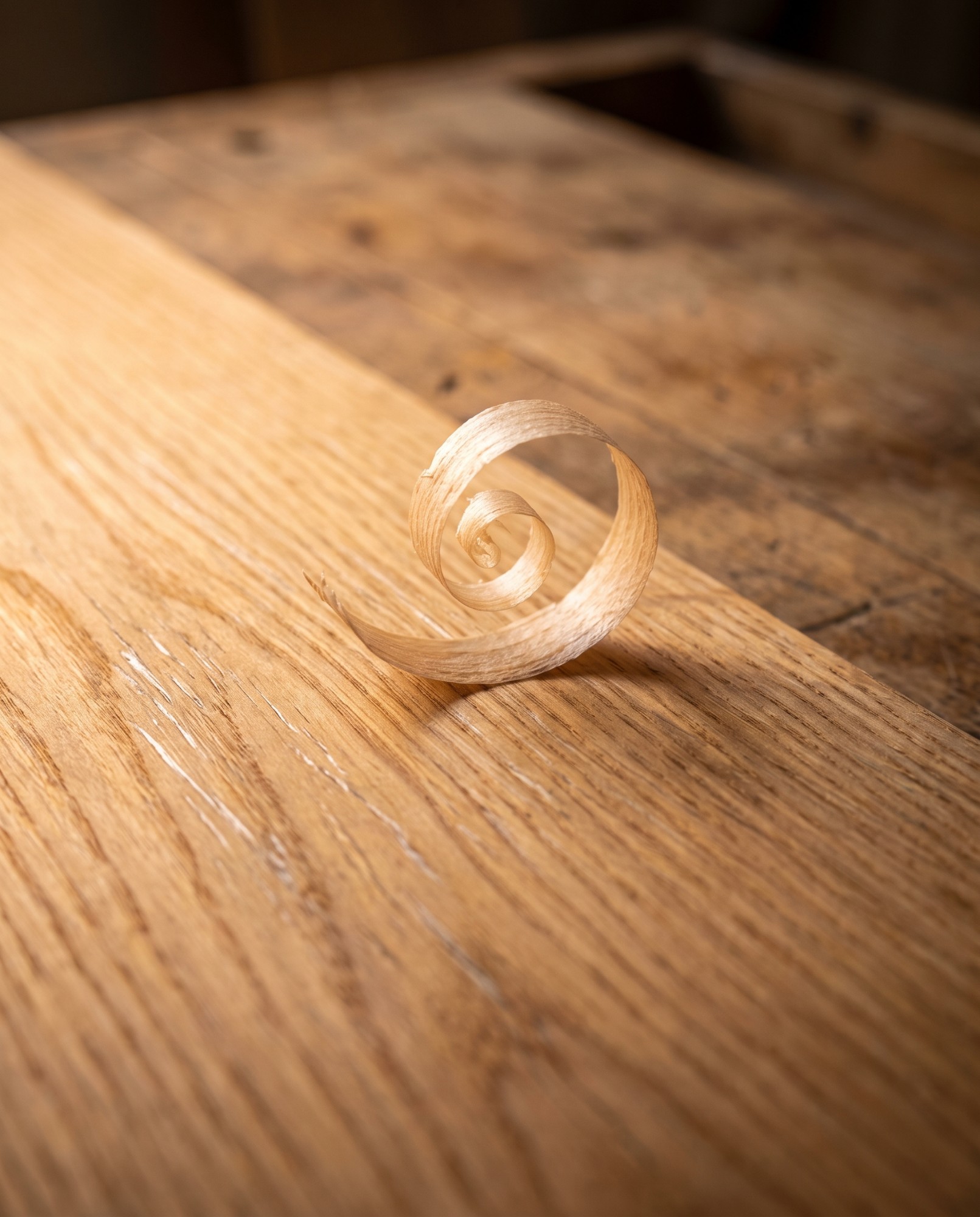 Close-up of hand-planed solid oak with a curl of shaving
